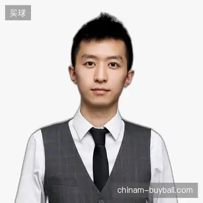 龙文致
